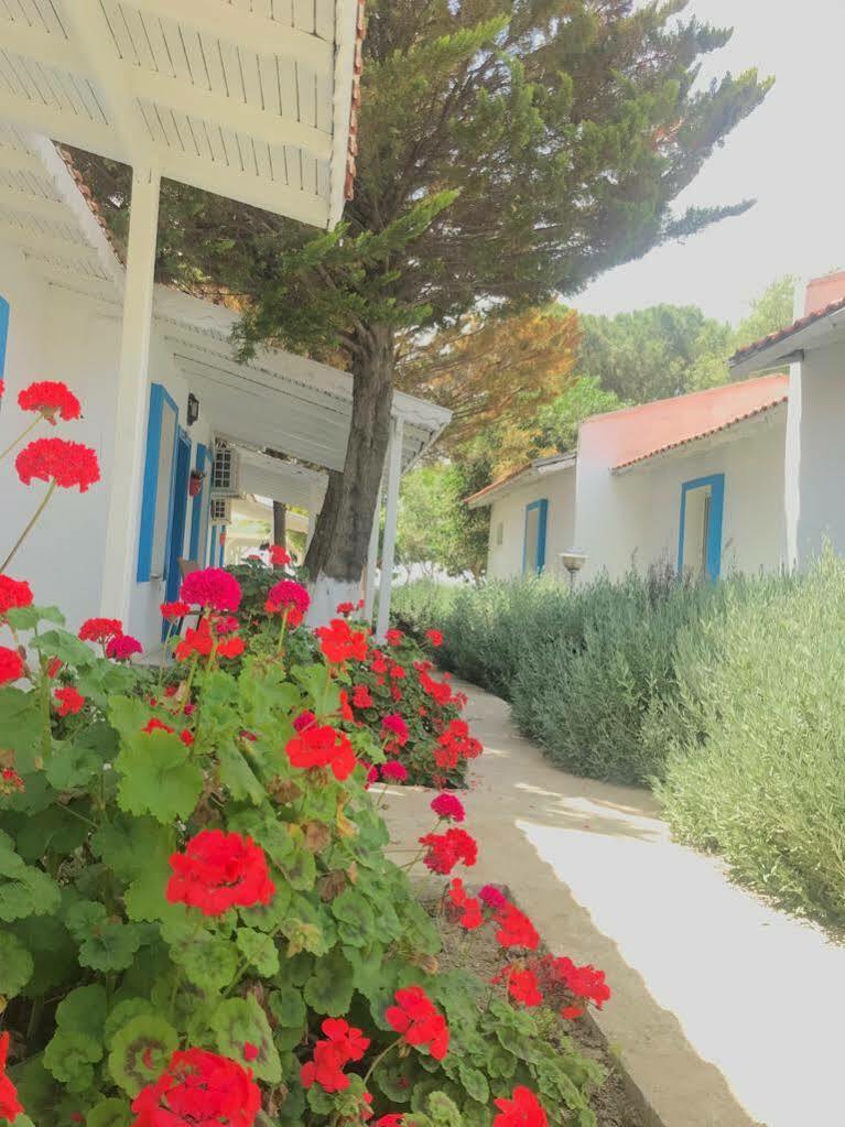 特奥斯森林度假酒店 塞费里希萨尔 外观 照片